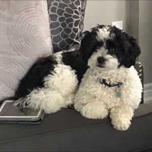 Meet your Posher, Erin